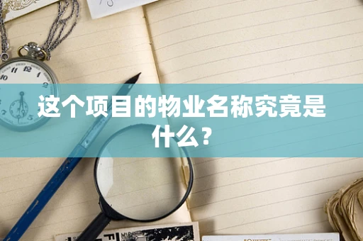 这个项目的物业名称究竟是什么？