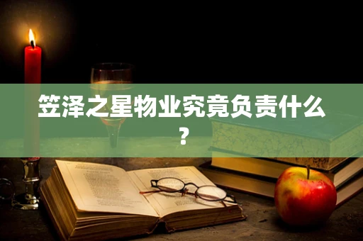 笠泽之星物业究竟负责什么？