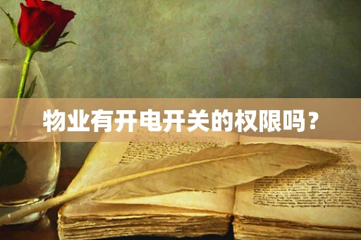 物业有开电开关的权限吗？