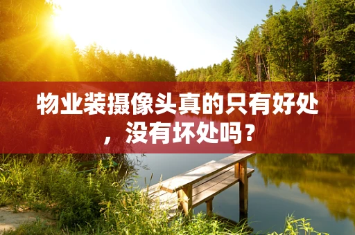 物业装摄像头真的只有好处，没有坏处吗？