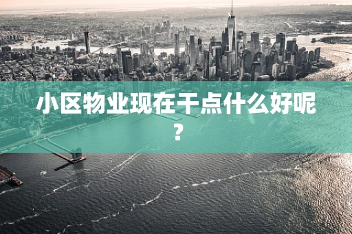 小区物业现在干点什么好呢？