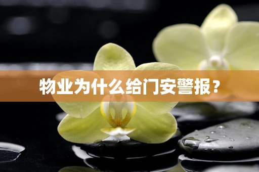 物业为什么给门安警报？