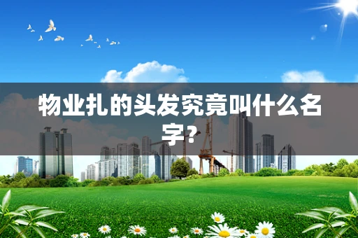 物业扎的头发究竟叫什么名字？
