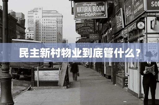 民主新村物业到底管什么？