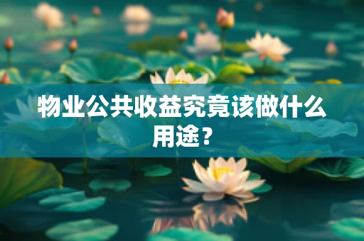 物业公共收益究竟该做什么用途？