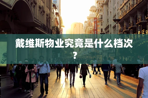 戴维斯物业究竟是什么档次？