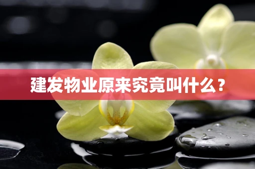 建发物业原来究竟叫什么？