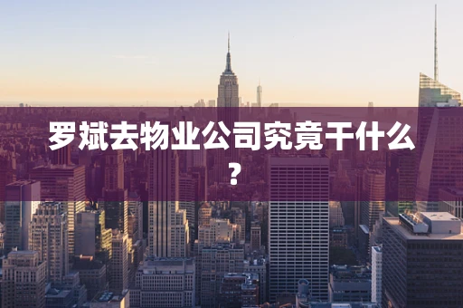 罗斌去物业公司究竟干什么？