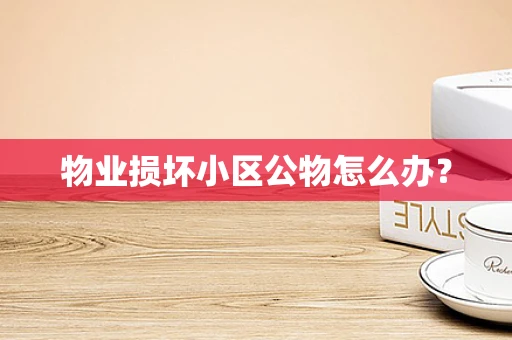物业损坏小区公物怎么办？