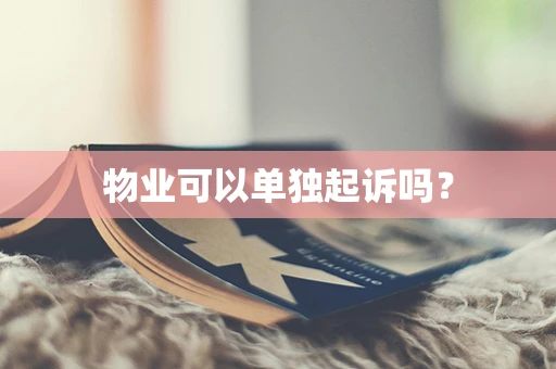物业可以单独起诉吗？