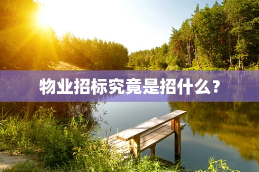 物业招标究竟是招什么？
