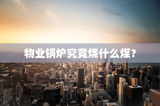 物业锅炉究竟烧什么煤？