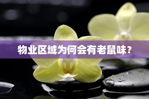 物业区域为何会有老鼠味？