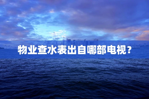 物业查水表出自哪部电视？