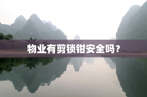 物业有剪锁钳安全吗？