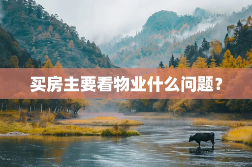 买房主要看物业什么问题？