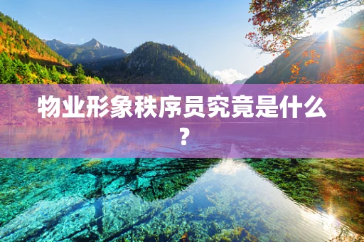 物业形象秩序员究竟是什么？