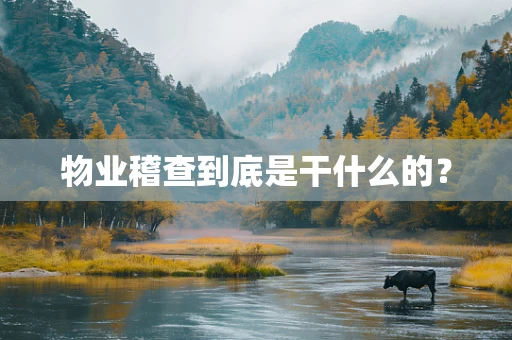 物业稽查到底是干什么的？