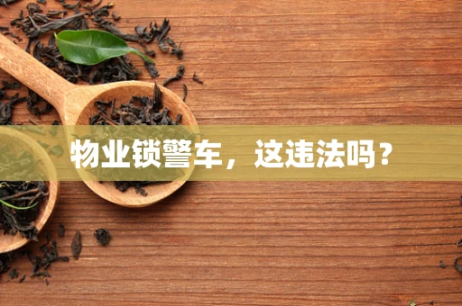 物业锁警车，这违法吗？