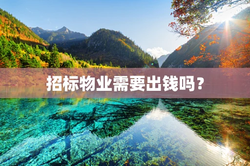 招标物业需要出钱吗？