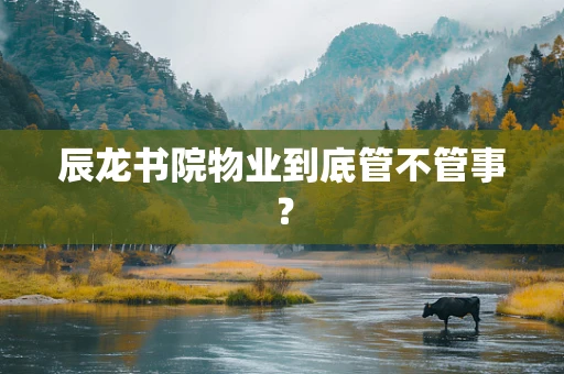 辰龙书院物业到底管不管事？