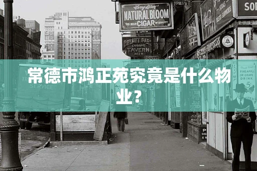 常德市鸿正苑究竟是什么物业？