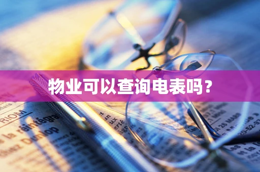 物业可以查询电表吗？