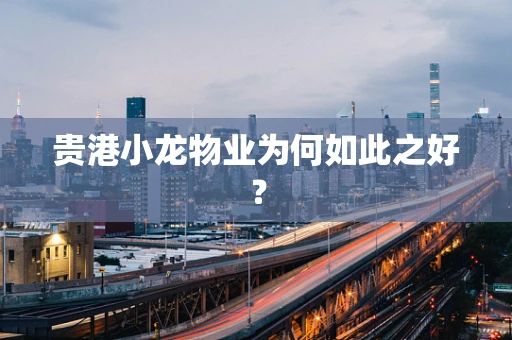 贵港小龙物业为何如此之好？