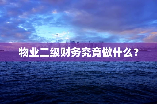 物业二级财务究竟做什么？