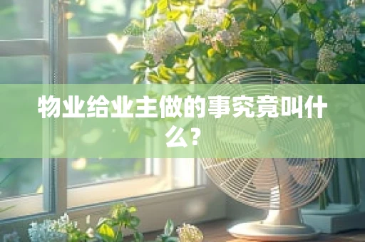 物业给业主做的事究竟叫什么？