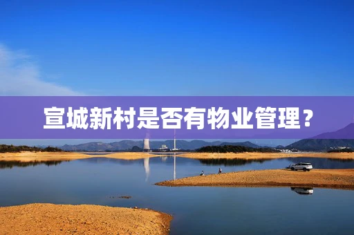 宣城新村是否有物业管理？