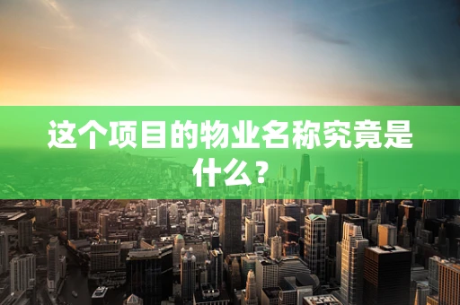 这个项目的物业名称究竟是什么？