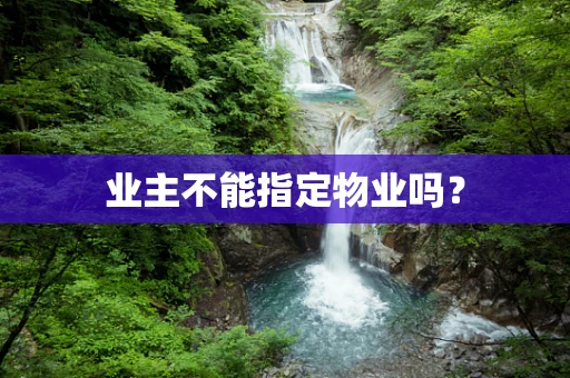 业主不能指定物业吗？