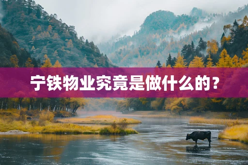 宁铁物业究竟是做什么的？