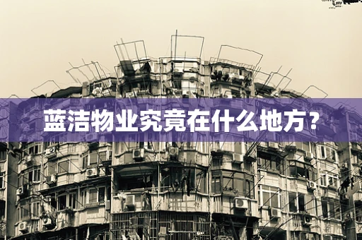 蓝洁物业究竟在什么地方？