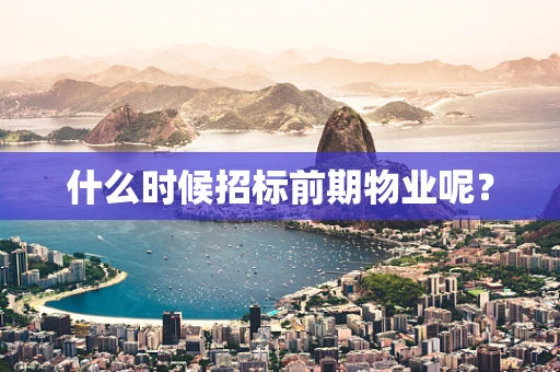 什么时候招标前期物业呢？