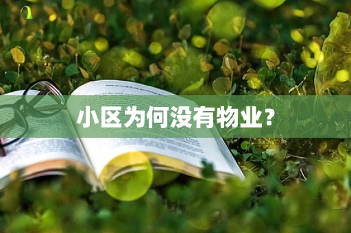 小区为何没有物业？