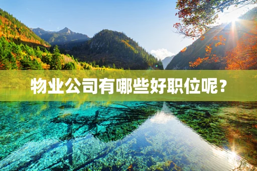 物业公司有哪些好职位呢？