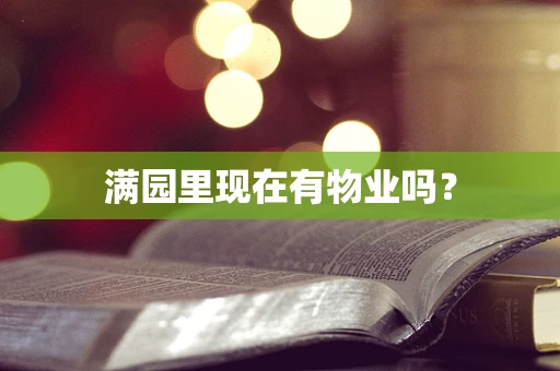 满园里现在有物业吗？