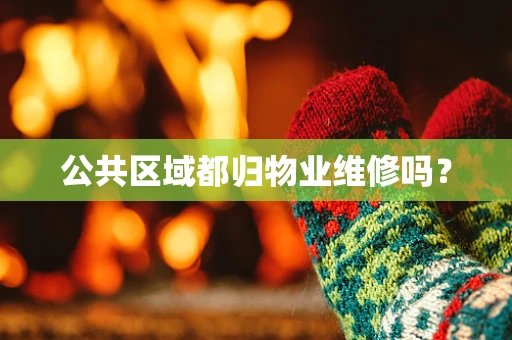 公共区域都归物业维修吗？