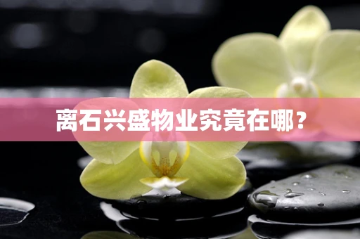 离石兴盛物业究竟在哪？