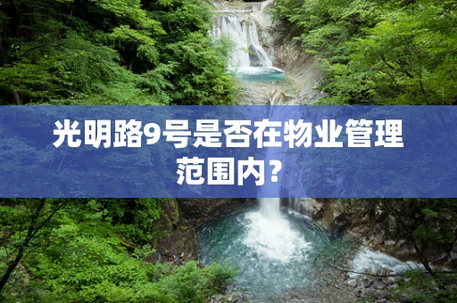 光明路9号是否在物业管理范围内？