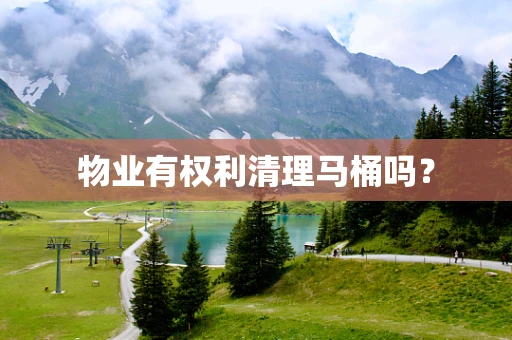 物业有权利清理马桶吗？