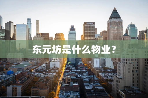 东元坊是什么物业？