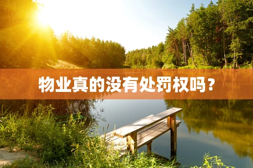 物业真的没有处罚权吗？