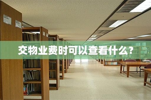 交物业费时可以查看什么？