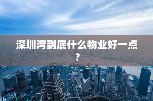 深圳湾到底什么物业好一点？