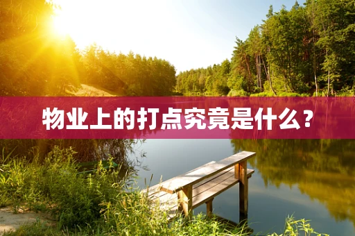 物业上的打点究竟是什么？