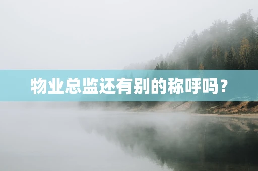 物业总监还有别的称呼吗？