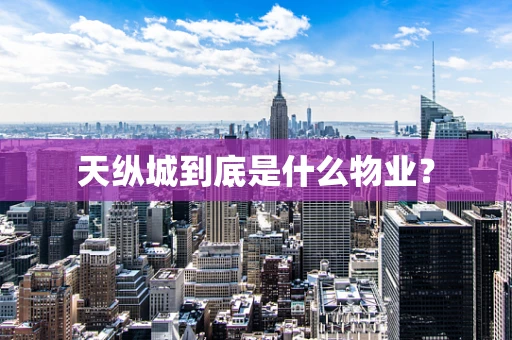 天纵城到底是什么物业？
